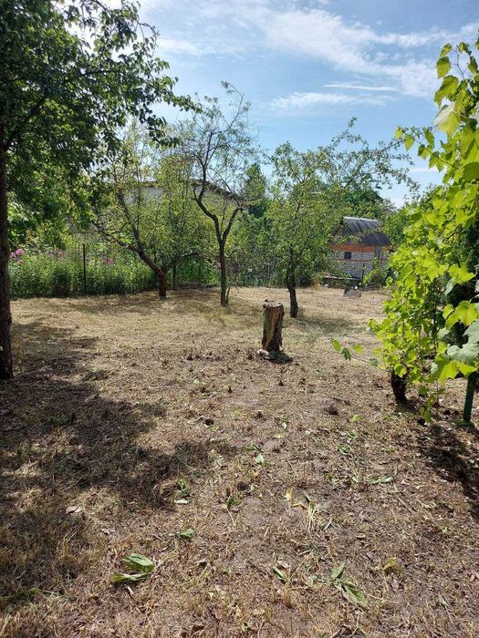 УБОРКА Территорий от 200 грн сотка СПИЛ ДЕРЕВЬЕВ, Расчистка участков