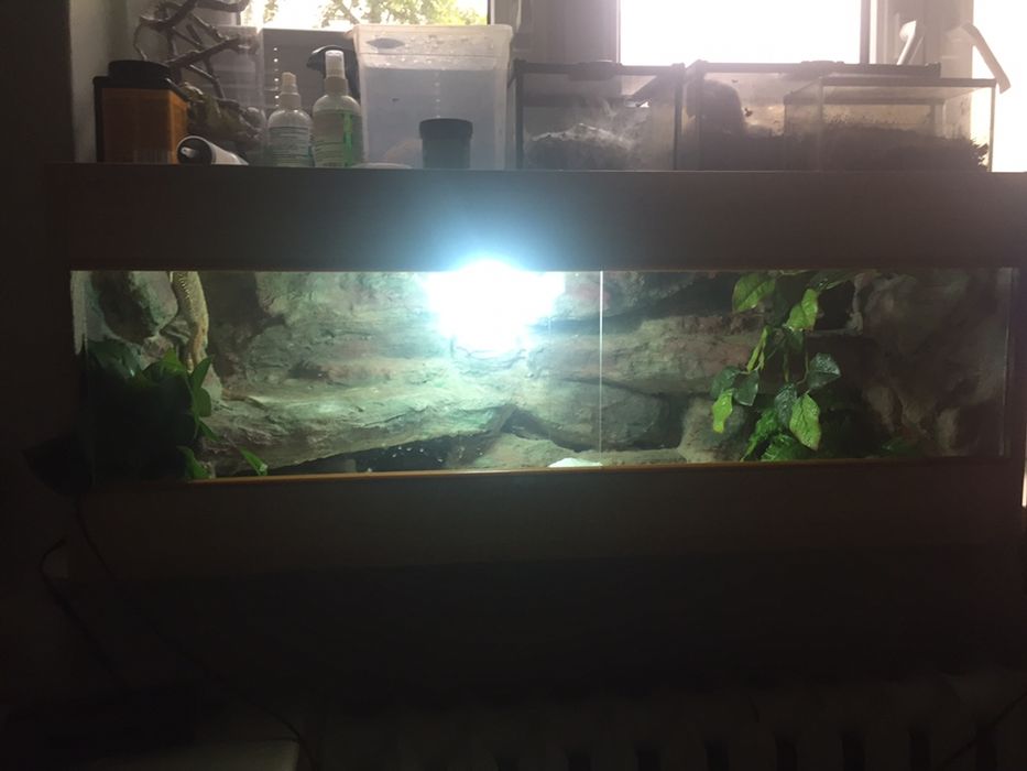 terrarium 80x40x40