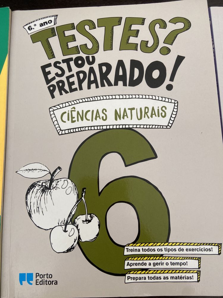 Vários livros de apoio escolar