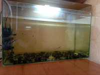 Продам саморобний акваріум