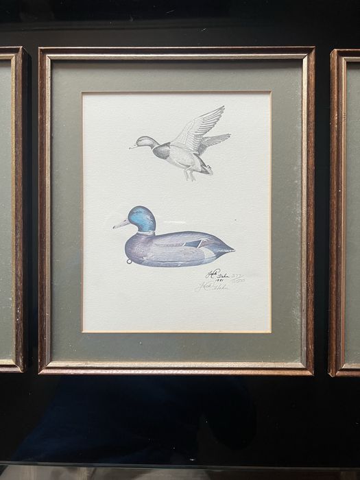 Zestaw 3 grafik Jack L. Hahn sygnowane limitowane wydruki kaczek