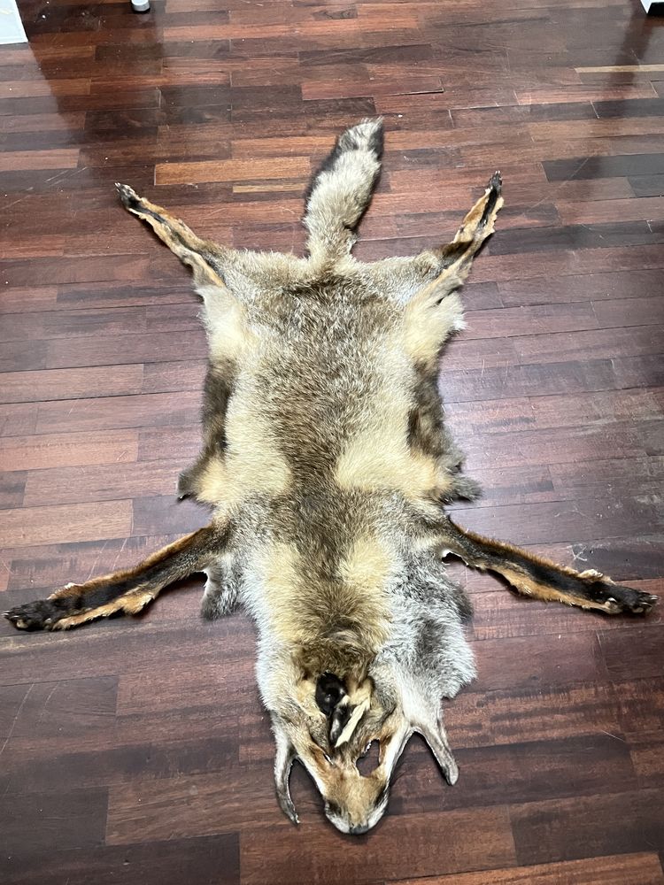 Pele Raposa tratada
