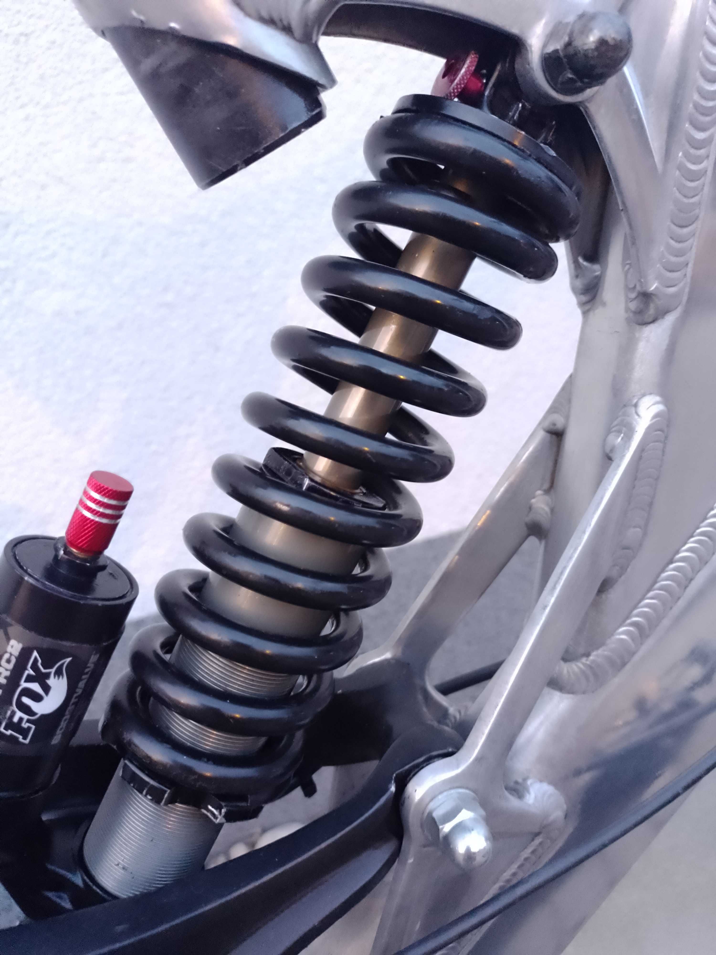 Specialized Big Hit DH