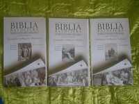 BIBLIA WARSZAWSKO-PRASKA AUDIO,wydanie dźwiękowe,Audiobook Ewangelie