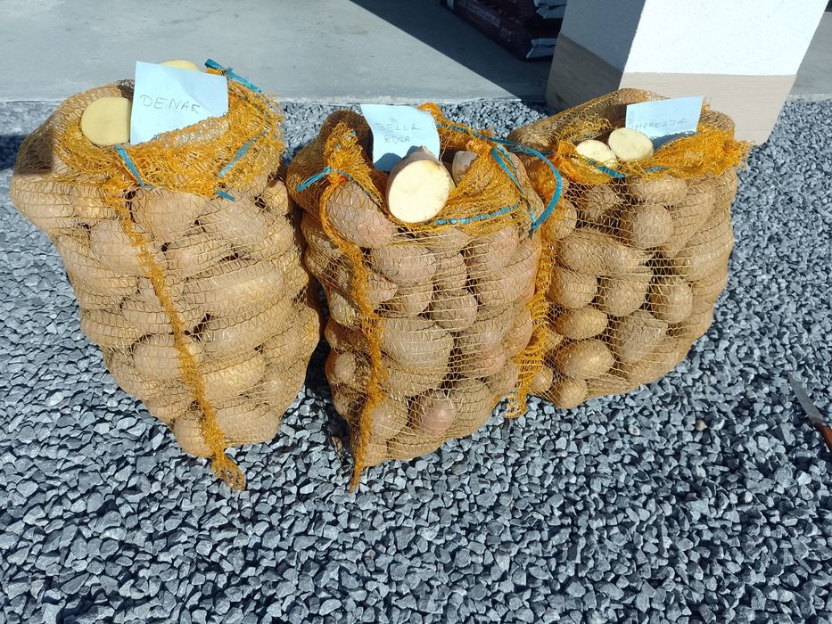 Sprzedam ziemniaki ekologiczne smaczne i zdrowe