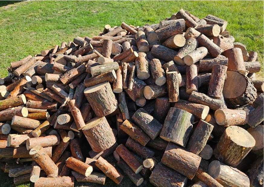 Drewno opałowe - Sosna