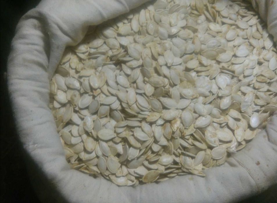 Продам. Горіхи. Насіня