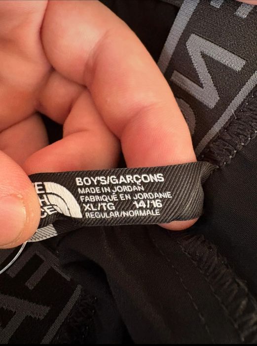 Spodnie męskie The north face