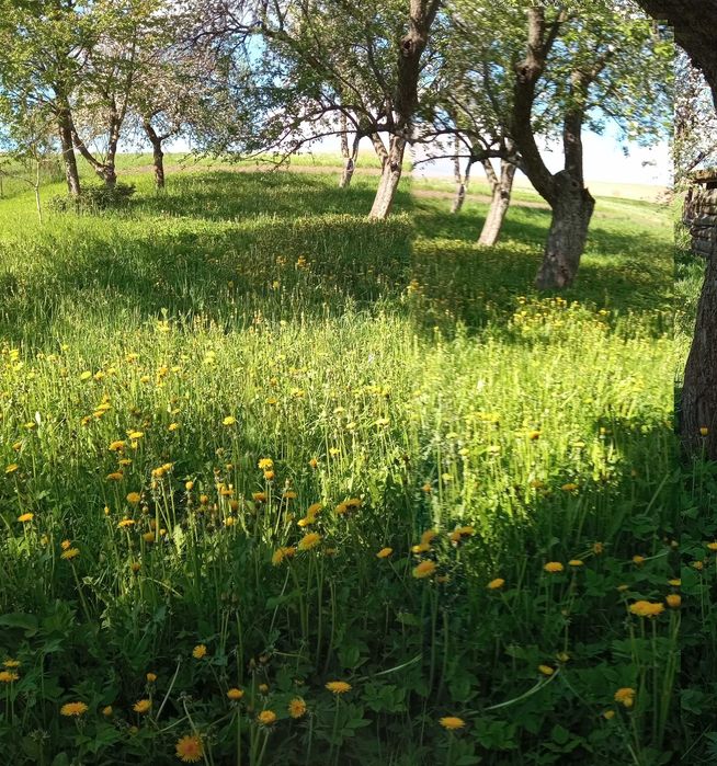 Продається житловий будинок