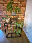 Kwietnik Stojak Na Kwiaty Rośliny Metalowy Solidny LOFT INDUSTRIAL