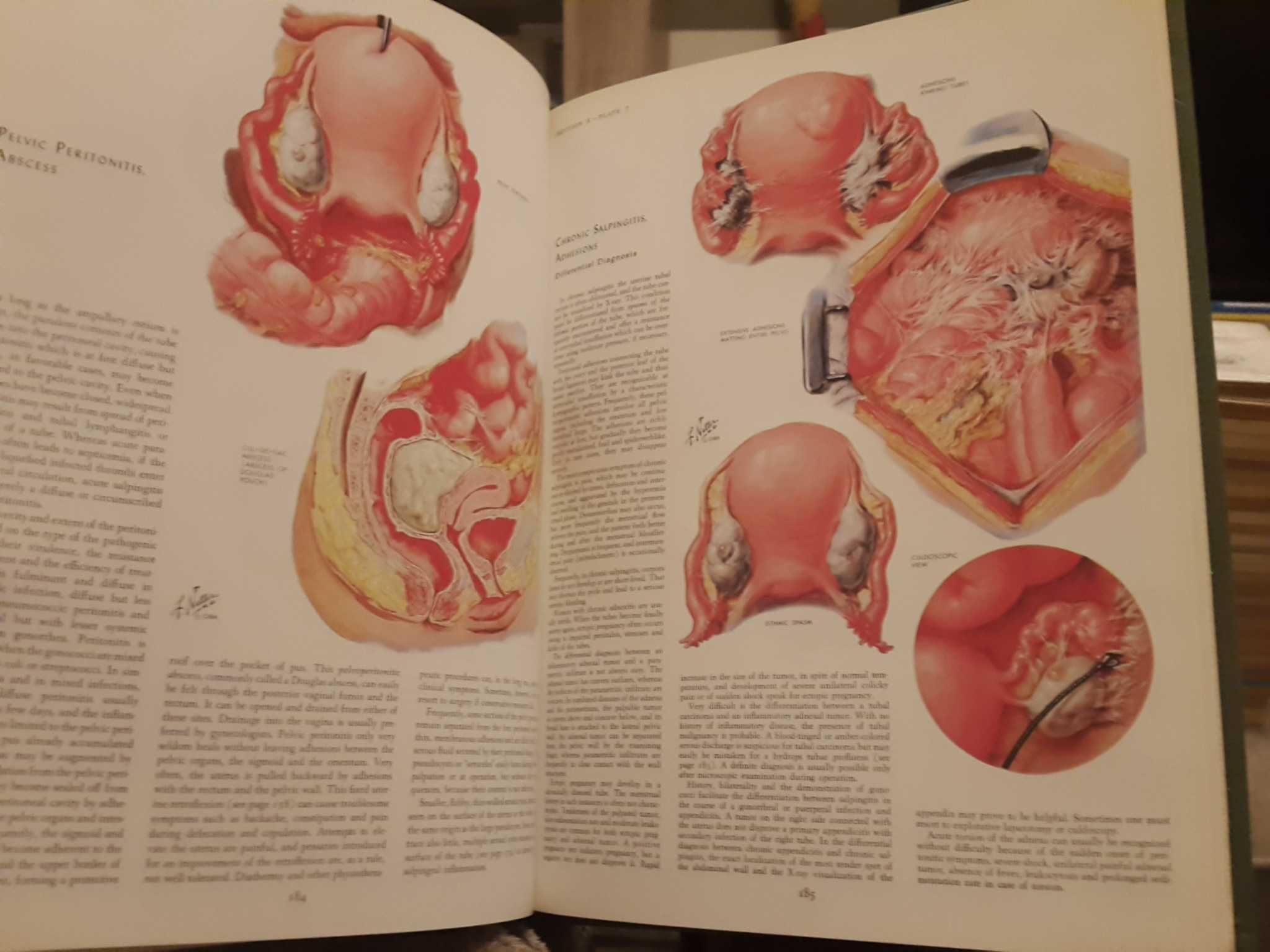 The Ciba Collection of Medical Illustration - 2. Reproductive System