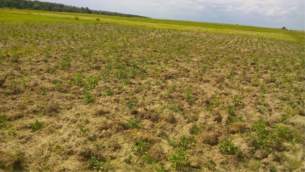 Земельна ділянка під забудову