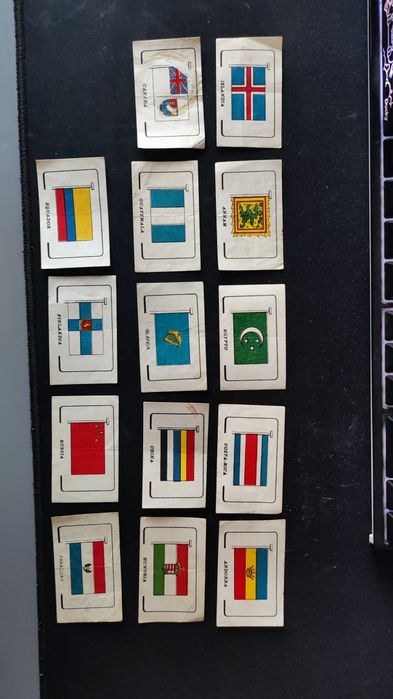 Bandeiras concurso zelly