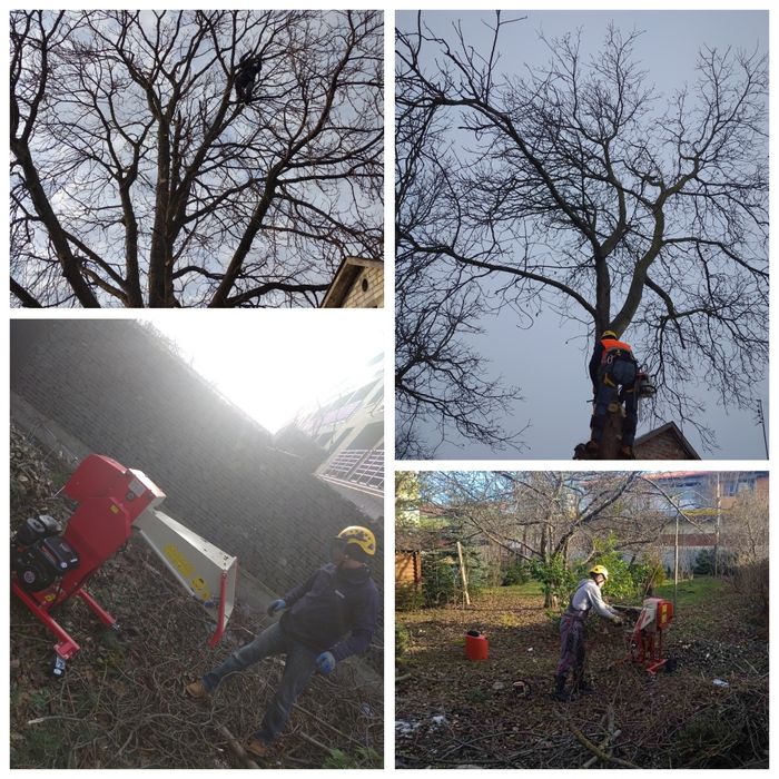 Альпініст.Обрізка, обрізання, валка аварійних дерев