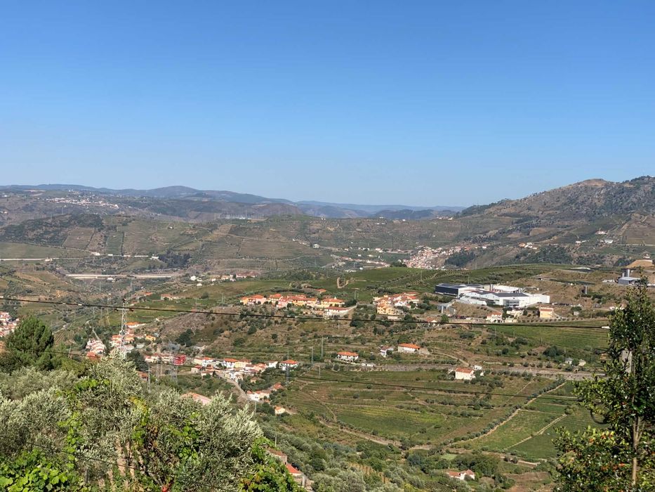 Quinta no Douro  - Ferreiros de Avões