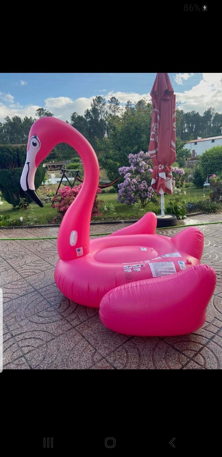 Insuflável Flamingo