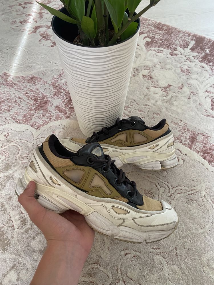 raf simons osweego