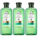 Herbal Essences Szampon Konopie Aloes 380ml ZESTAW 3 SZTUK