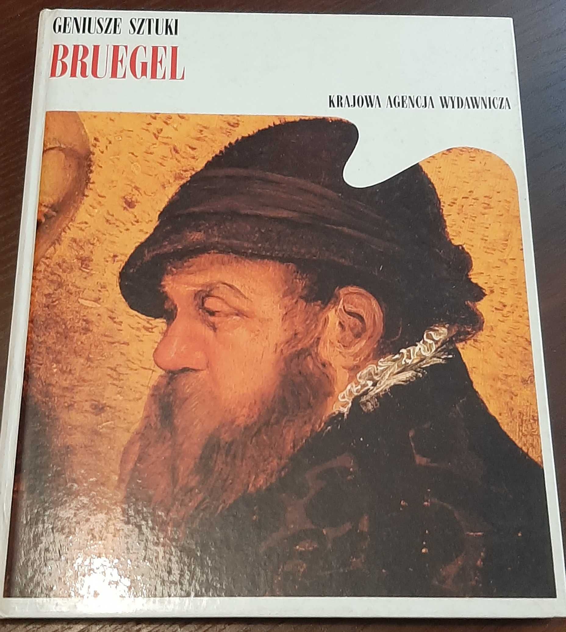 Geniusze Sztuki 9 tomów Bruegel Rafael