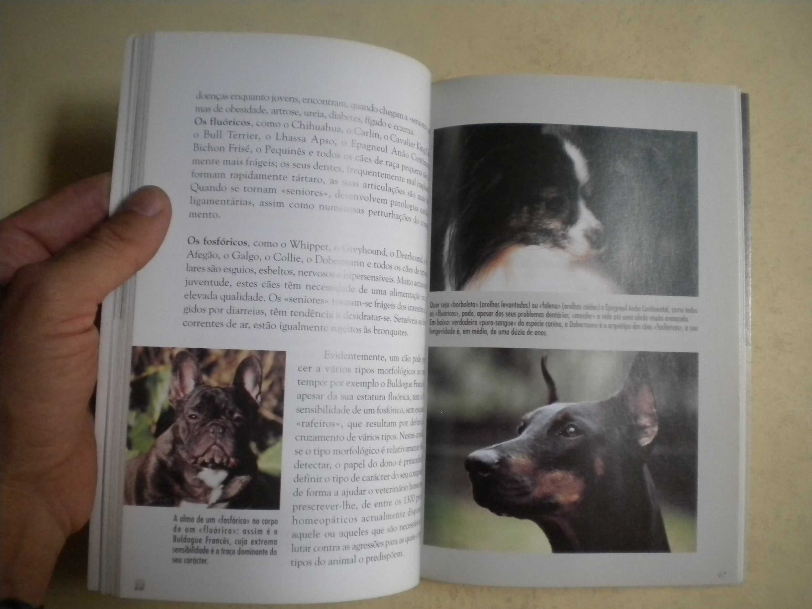 Ajudo o meu cão a envelhecer
de Olivier Lagalisse