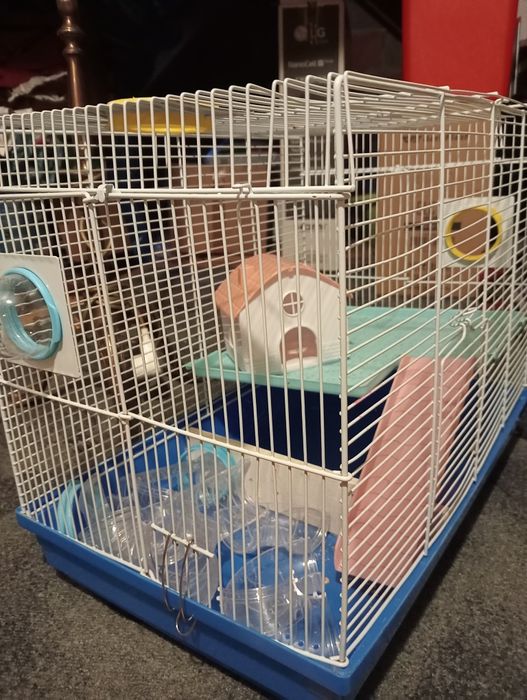 Klatka dla chomika plus akcesoria