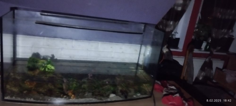 Akwarium 240 l z akcesoriami