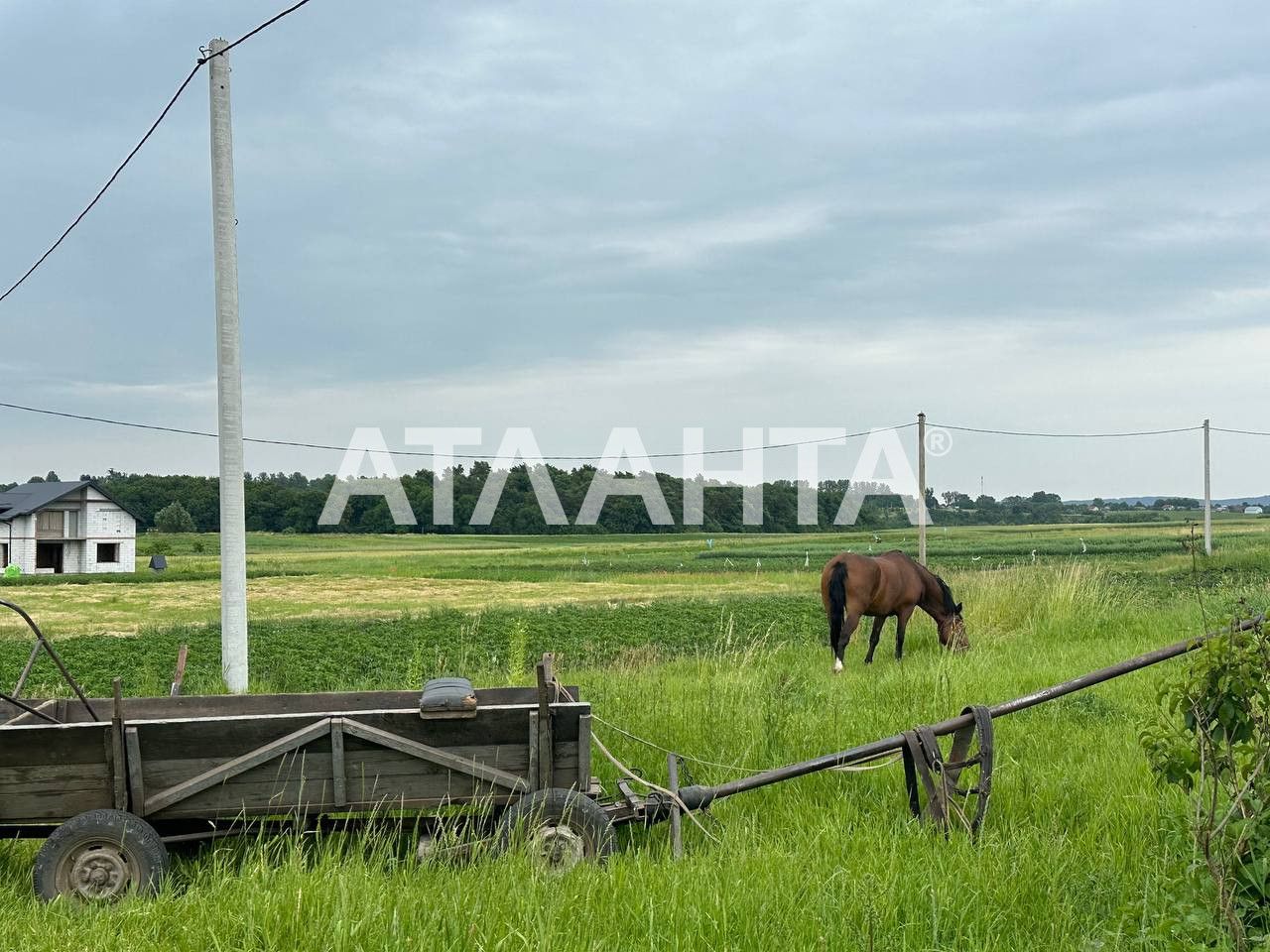 ТЕРМІНОВО! Продаж Ділянки. с . Чижиків, 12.94сот БЕЗ КОМІСІЇ