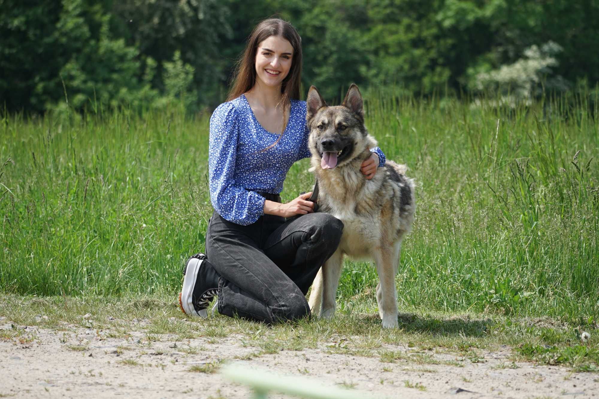 Maroko - super duży psiak szuka domu