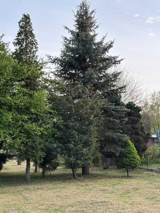 Działka ROD 400 m² + opcja zakupu z działką obok (łącznie 800 m²)