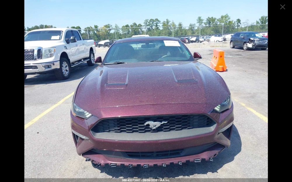 Ford Mustang 2.3 EcoBoost 289KM - w drodze do Polski