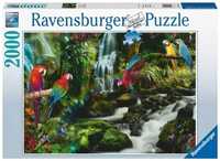 Puzzle 2000 Papugi W Dżungli, Ravensburger