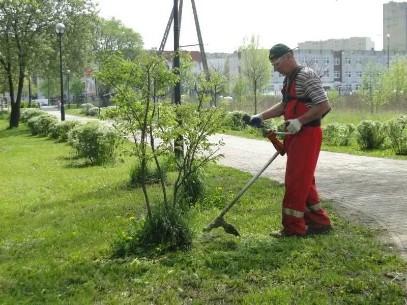 Pielęgnacja ogrodów przycinanie żywopłotów formowanie krzewów koszenie
