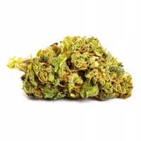 100G Susz CBD Skywalker OG 0,20% HURT Producent FV Susz konopny