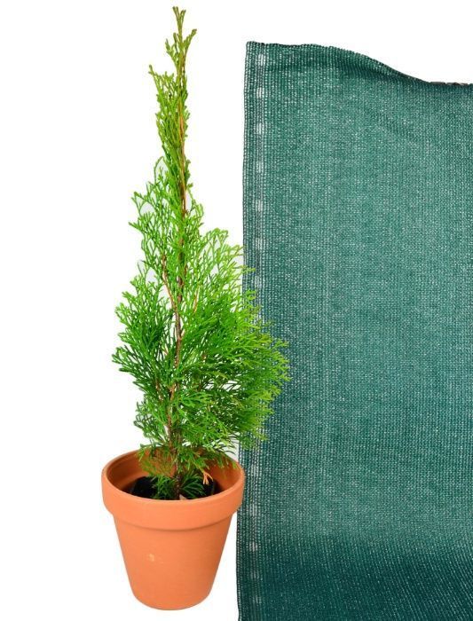 Osłona na Płot Ogrodzenie Zielona 2x10m Siatka Cieniująca 220g tkana