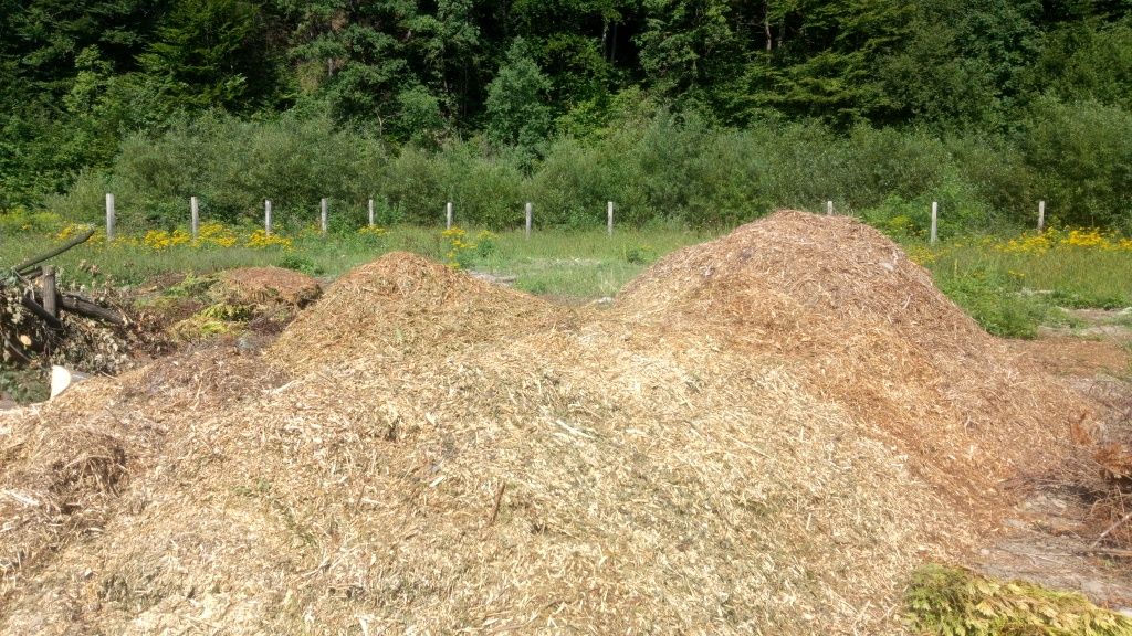 Zrębki. Zrębka leśna. Biomasa. Kompost.