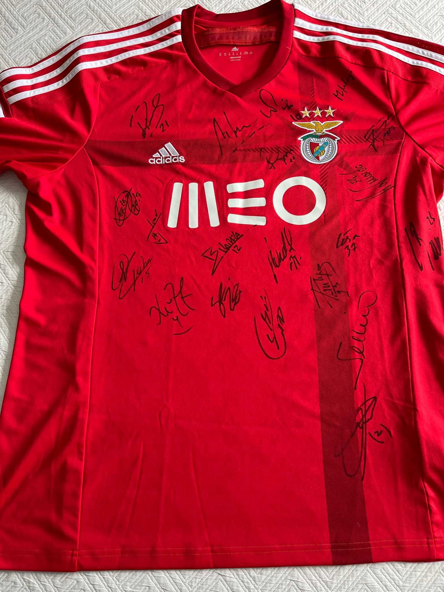 Vendo Camisola SL BENFICA Autografada Equipa TRICAMPEONATO (2015-16)