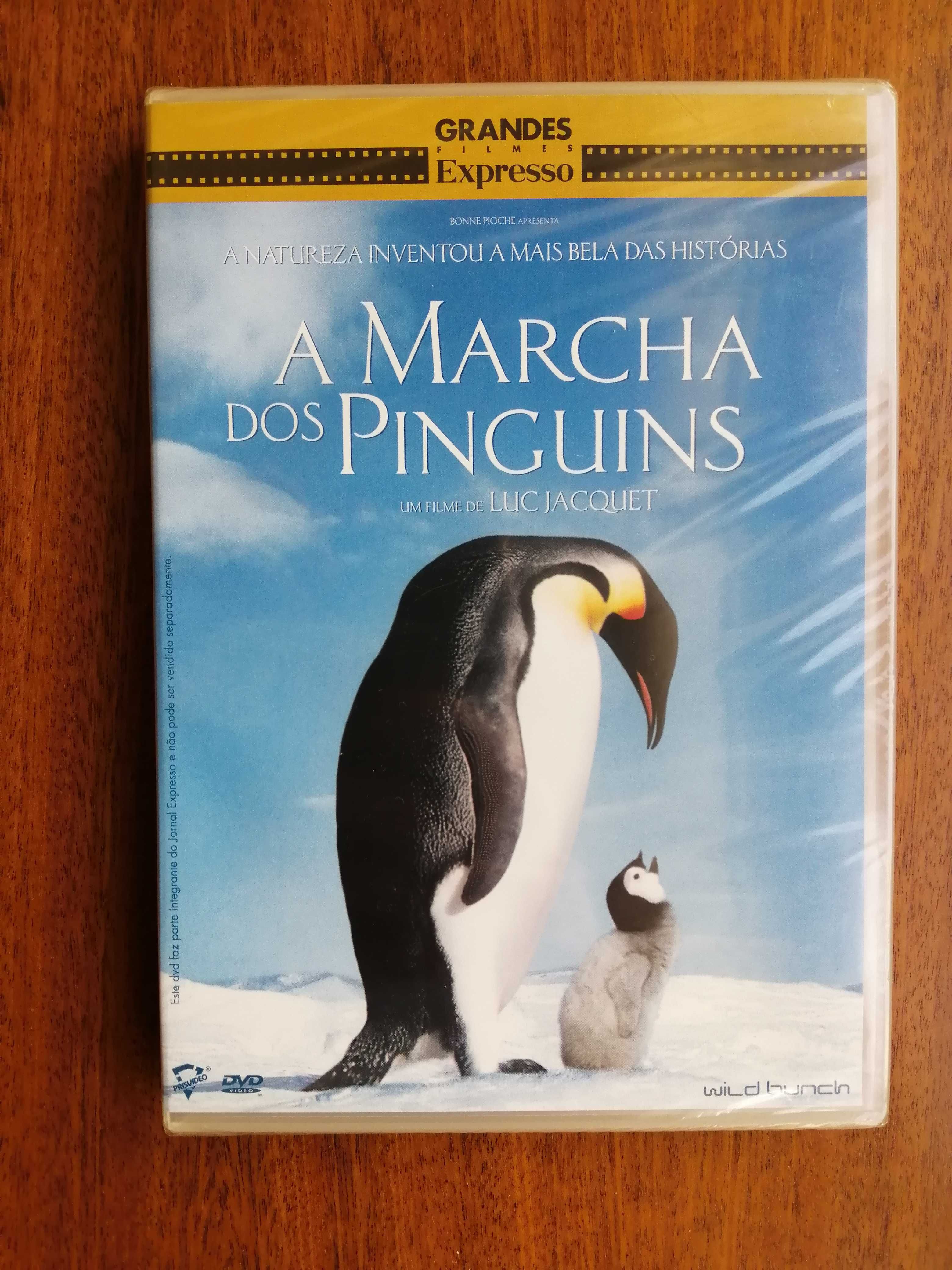 A Marcha dos Pinguins - March of the Penguins DVD (dentro do plástico)