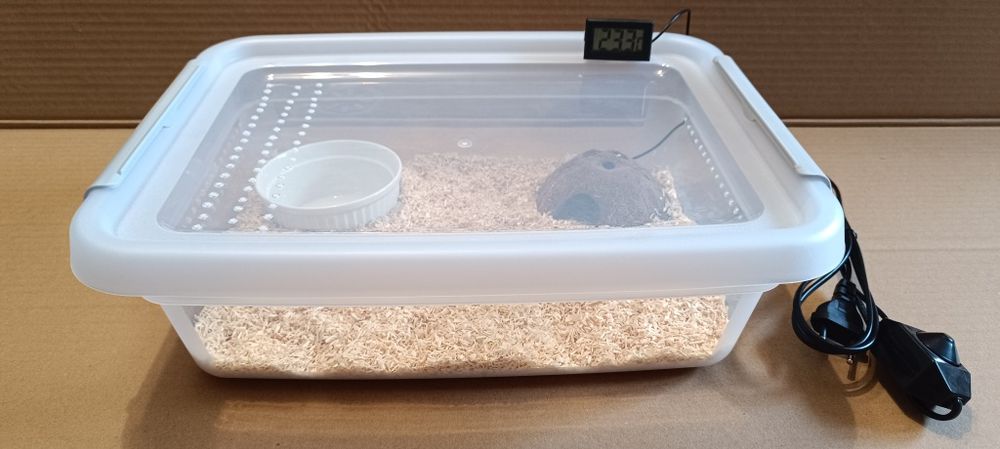 Box dla węża (terrarium) zestaw