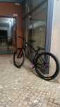 Mitical trail 30  para grau