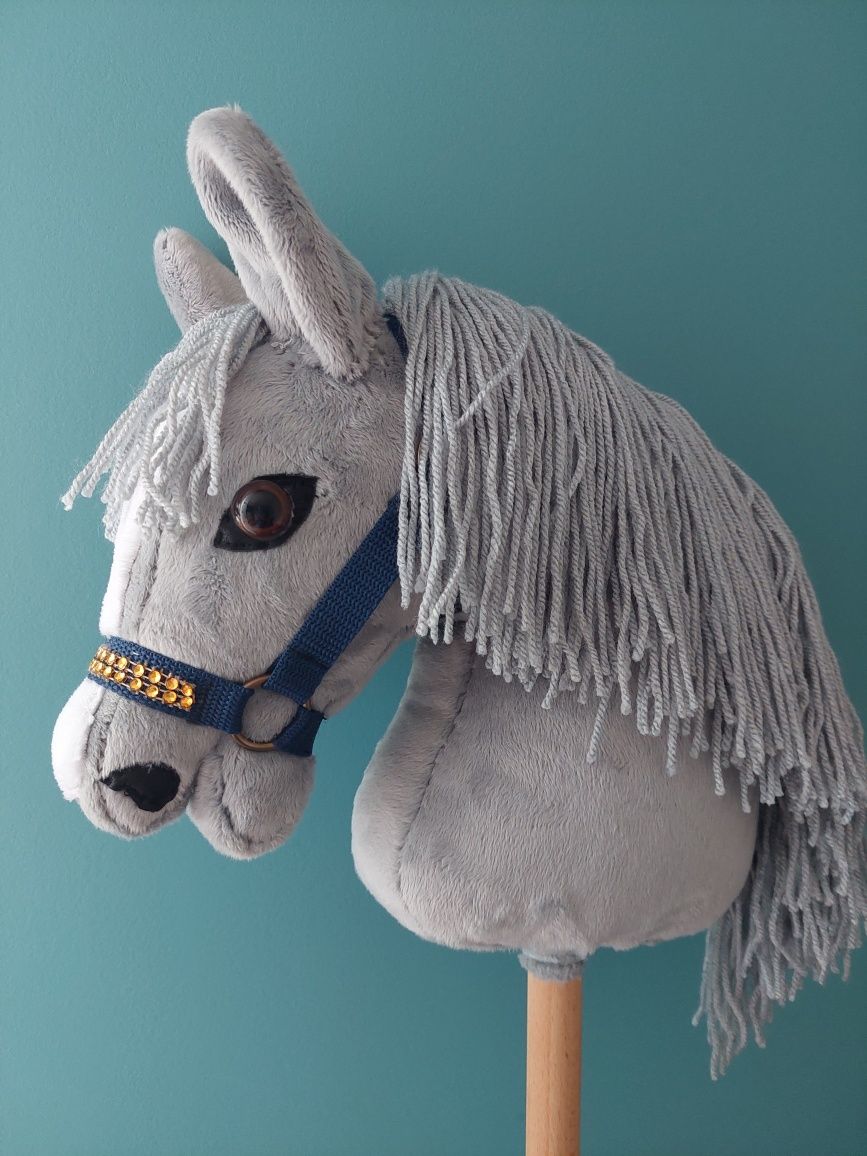 Konik Hobby horse