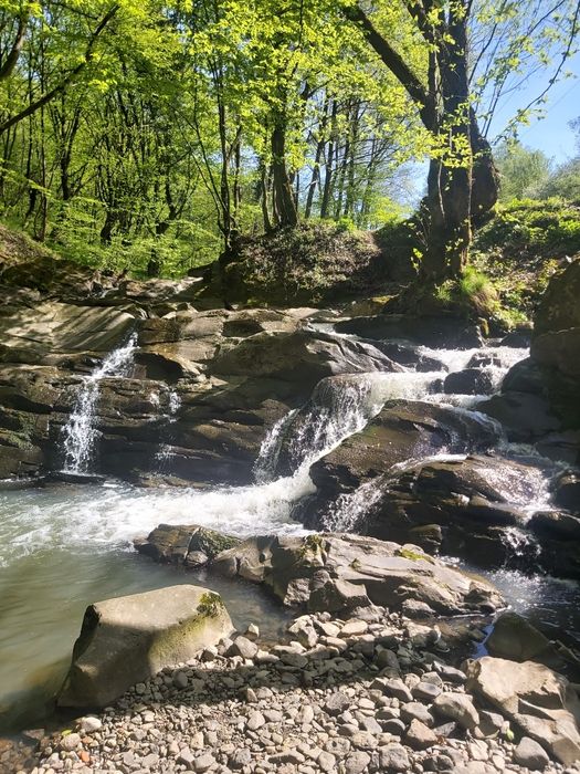 Ділянка в с.Оріховиця