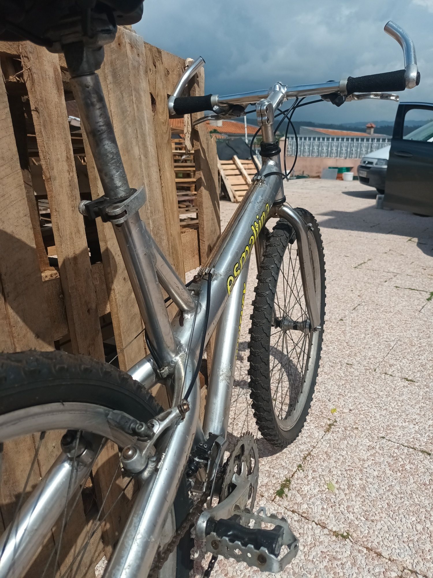 Bicicleta Esmaltina