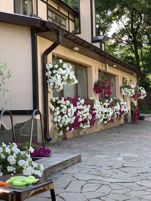 Здам, або продам садибу (дім)