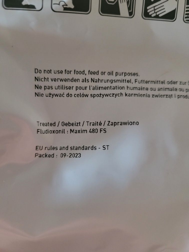 Nasiona Bejo Burak WODAN 650tyś