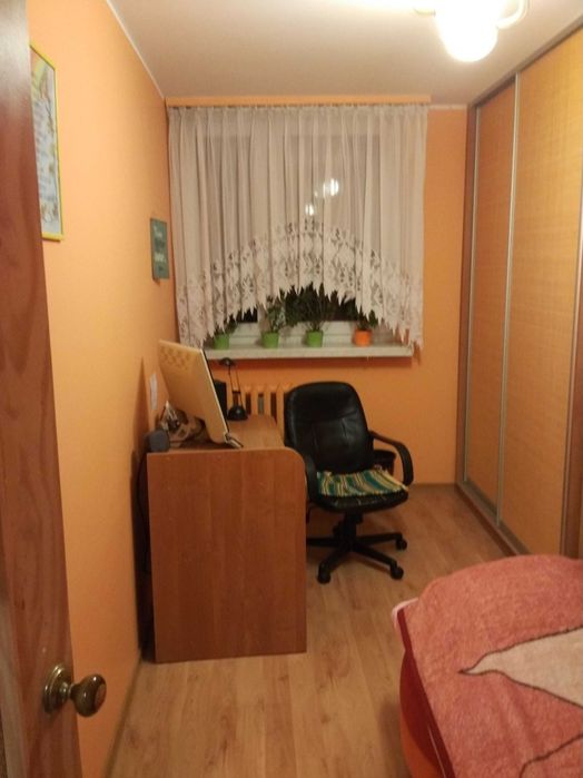 Mieszkanie do wynajęcia.