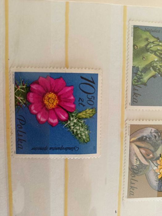 Znaczki seria sulkulenty 1981