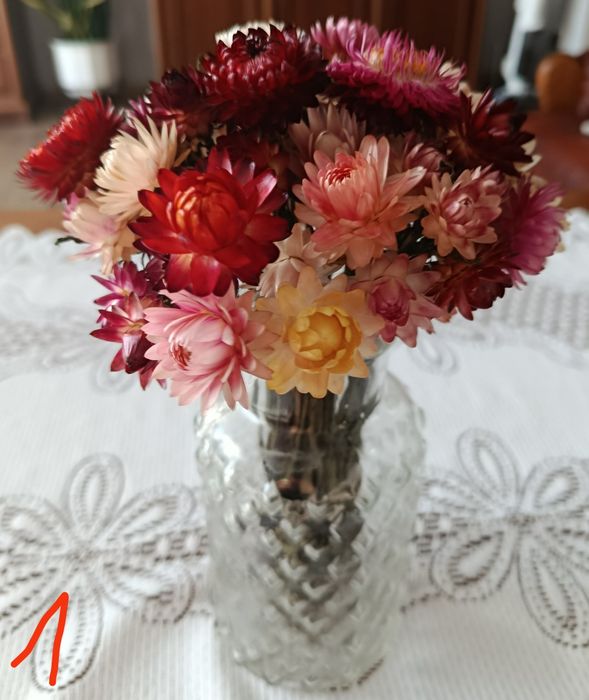 Suszone bukiety kocanki