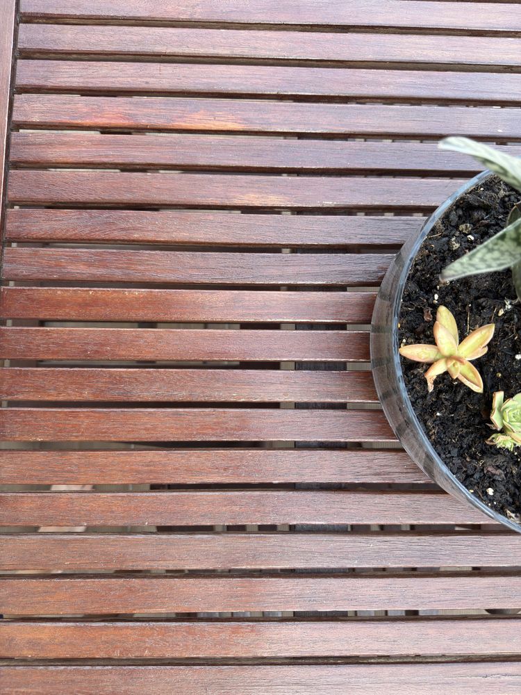 Mesa de jardim (em optimo estado)