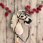 Hobby horse fiordzki A4