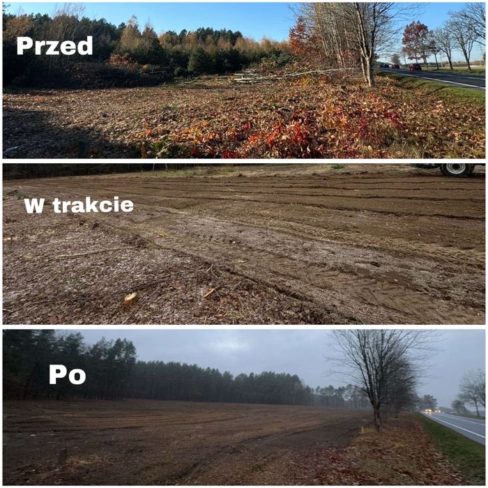 Mulczer Leśny Wycinka Rebak Rekultywacja